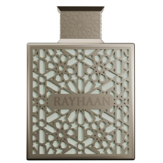 Obrázok pre Rayhaan Terra edp 100ml pre mužov